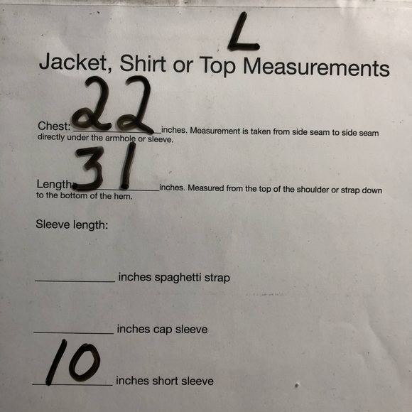 Denver Hayes Polo White/Blue Striped Golf Shirts - Picture 6 of 8